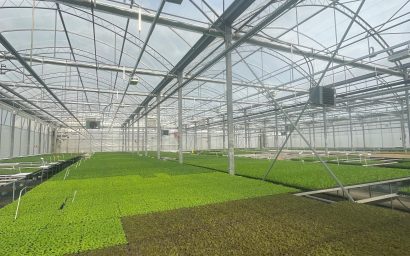 ΕΚΠΑΙΔΕΥΤΙΚΗ ΕΠΙΣΚΕΨΗ ΤΩΝ ΦΟΙΤΗΤΩΝ ΤΟΥ ΤΜΗΜΑΤΟΣ ΓΕΩΠΟΝΙΑΣ ΦΥΤΙΚΗΣ ΠΑΡΑΓΩΓΗΣ ΚΑΙ...