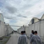 ΕΚΠΑΙΔΕΥΤΙΚΗ ΕΠΙΣΚΕΨΗ ΤΩΝ ΦΟΙΤΗΤΩΝ ΤΟΥ ΤΜΗΜΑΤΟΣ ΓΕΩΠΟΝΙΑΣ ΦΥΤΙΚΗΣ ΠΑΡΑΓΩΓΗΣ ΚΑΙ ΑΓΡΟΤΙΚΟΥ ΠΕΡΙΒΑΛΛΟΝΤΟΣ ΣΤΟ ΠΛΑΙΣΙΟ ΤΟΥ ΜΑΘΗΜΑΤΟΣ «ΓΕΩΡΓΙΚΕΣ ΚΑΤΑΣΚΕΥΕΣ-ΘΕΡΜΟΚΗΠΙΑ» ΣΤΗ ΕΤΑΙΡΕΙΑ AGRIS ADVANCING HORTICULTURE.