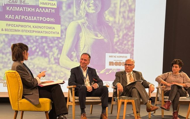 IMG-20251120-WA0008 IMG-20251120-WA0008