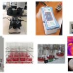 Laboratory of Viticulture