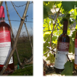 Laboratory of Viticulture