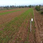 Farm
